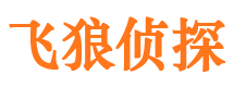 临川飞狼私家侦探公司